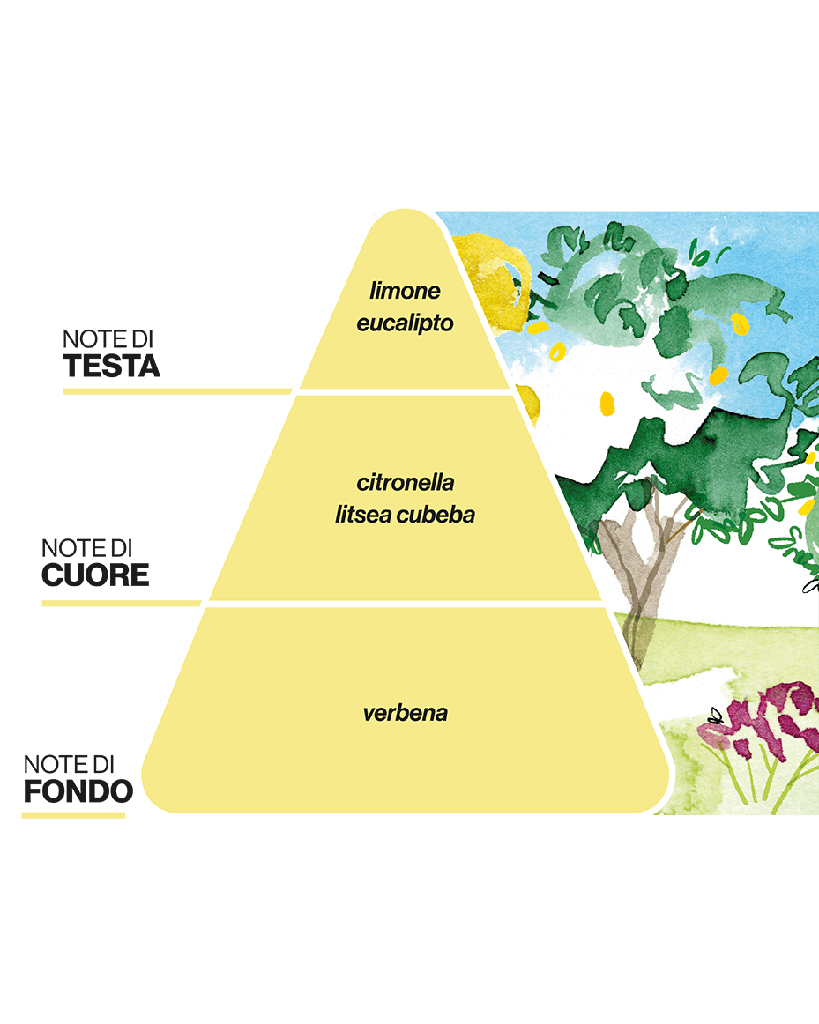 Ricarica Diffusore d'Ambiente con Bastoncini All'Agrumeto Domea
