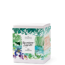 Diffusore d'Ambiente con Bastoncini Giardino Segreto Domea