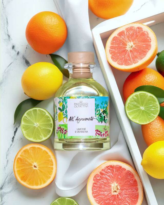 Diffusore d'Ambiente con Bastoncini All'Agrumeto Domea