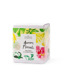 Diffusore d'Ambiente con Bastoncini Aurora Floreale Domea