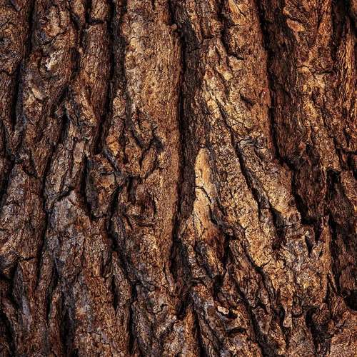 Crema Piedi Nutriente e Riparatrice Endro