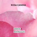 Acqua floreale di rosa bio