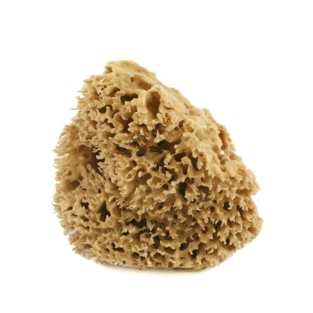 Spugna corpo Arcipelago lavata 8/10 gr