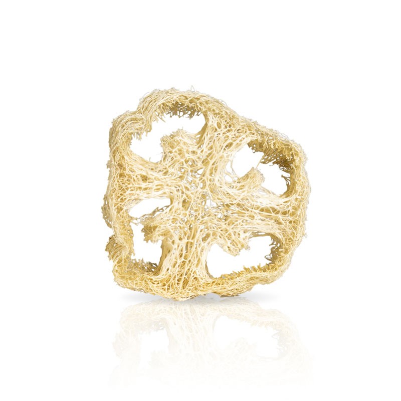 Luffa Porta CO.SO Officina Naturae