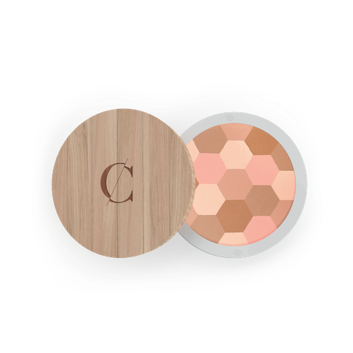 [3662189600944] Terra Mosaico Couleur Caramel (n.232 Teint clair)