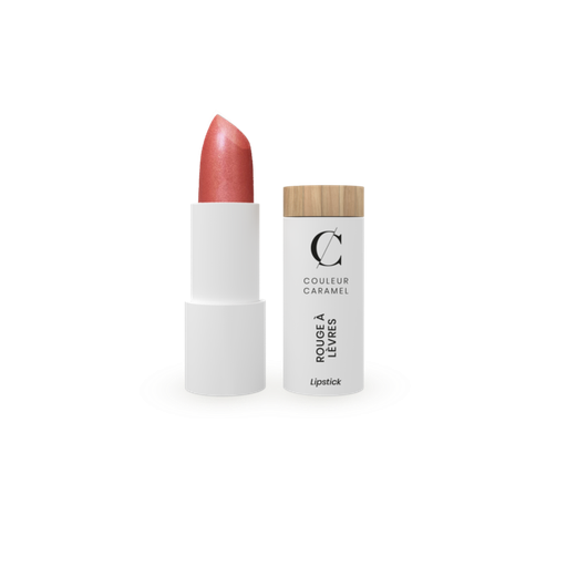 [3662189610905] Rossetto Satinato n.520 Rose Sari Couleur Caramel