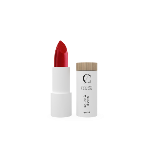 [3662189606458] Rossetto n.513 Rouge lumiere P/E 2024